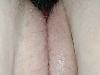 Man Fuck Dog Gangbang