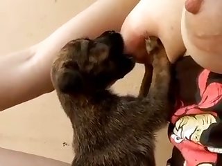 Dog Fuck Nhentai
