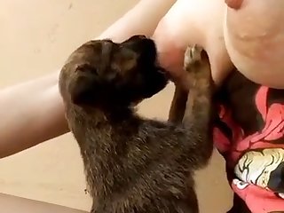 Dog Fuck Nhentai