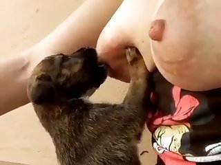 Dog Fuck Nhentai