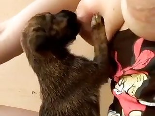 Dog Fuck Nhentai
