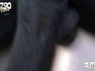 Dog Fuck Teen Latina