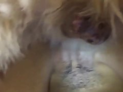 Girl Fuck By Dog Hard
