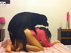 Dog Accident Ass Fuck