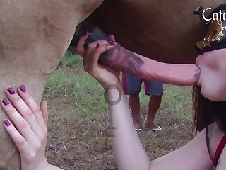 Animal Hantai Porn