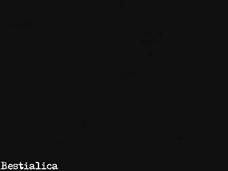 Animal With Human Porn Video