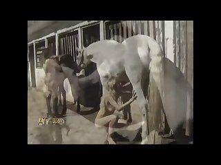 Relatos Reales De Zoofilia